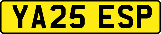 YA25ESP