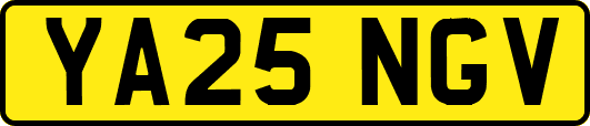 YA25NGV