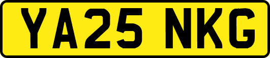 YA25NKG