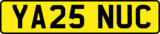 YA25NUC