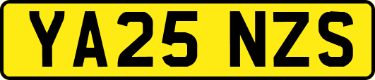 YA25NZS