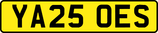 YA25OES