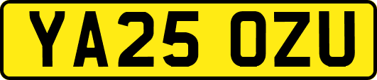 YA25OZU