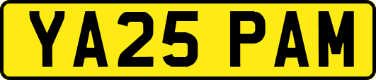 YA25PAM