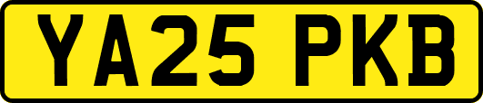 YA25PKB