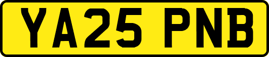 YA25PNB