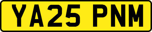 YA25PNM