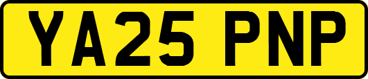 YA25PNP