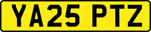 YA25PTZ