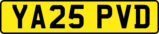 YA25PVD