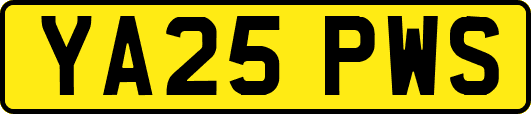 YA25PWS