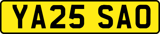 YA25SAO