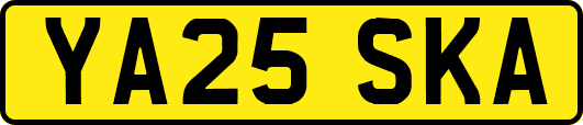 YA25SKA