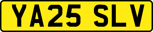 YA25SLV