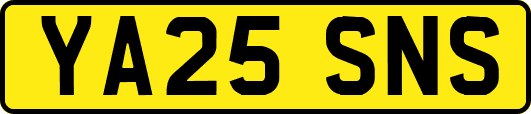 YA25SNS