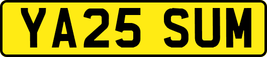 YA25SUM