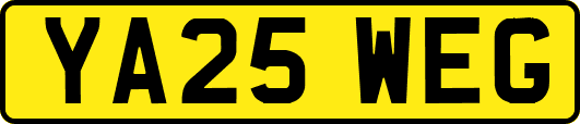 YA25WEG