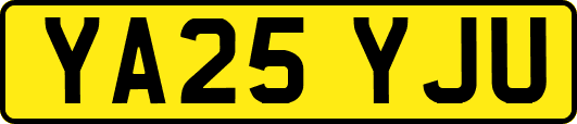 YA25YJU