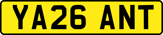 YA26ANT