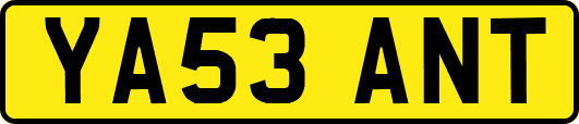 YA53ANT