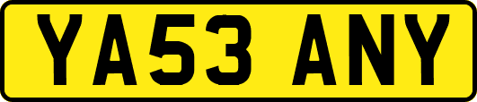 YA53ANY
