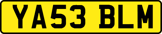 YA53BLM