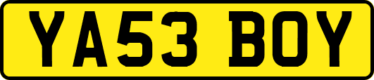 YA53BOY