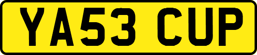 YA53CUP
