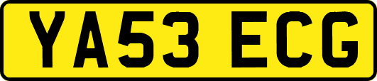 YA53ECG