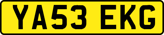 YA53EKG