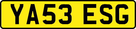 YA53ESG