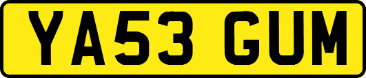 YA53GUM