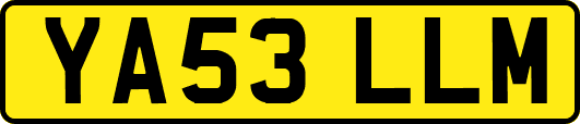 YA53LLM