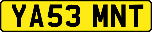 YA53MNT