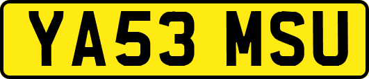 YA53MSU