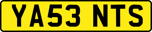YA53NTS