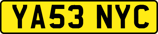 YA53NYC