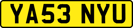 YA53NYU