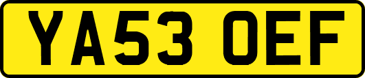 YA53OEF