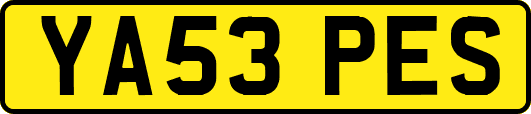 YA53PES