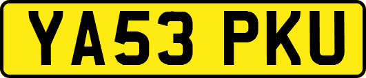 YA53PKU