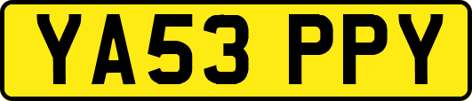 YA53PPY