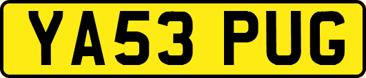 YA53PUG