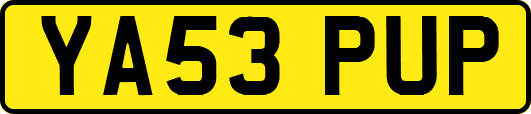 YA53PUP