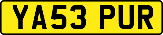 YA53PUR