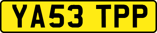 YA53TPP