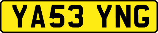 YA53YNG
