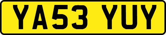 YA53YUY