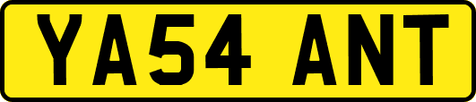 YA54ANT