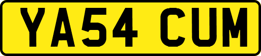 YA54CUM